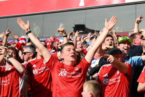 一步奠定了 一步奠定了