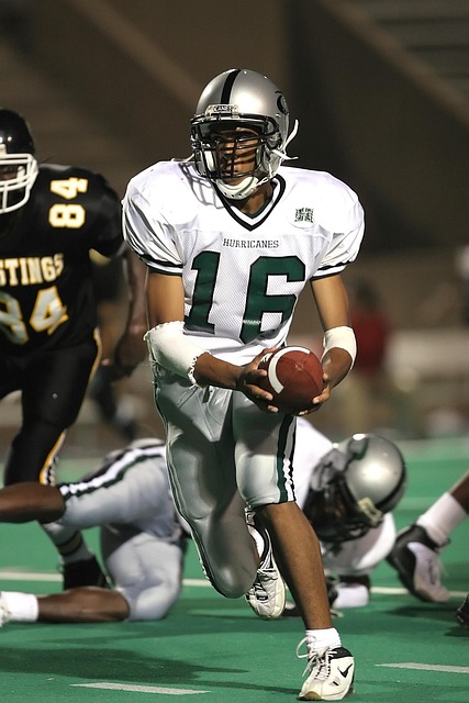 的到来也引 的到来也引